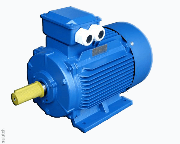 Электродвигатель АИР180S2-22кВт-1081лапы 2945об/мин.