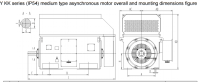 Электродвигатель  YKK3554-2 315kW 2975 rpm 6kV
