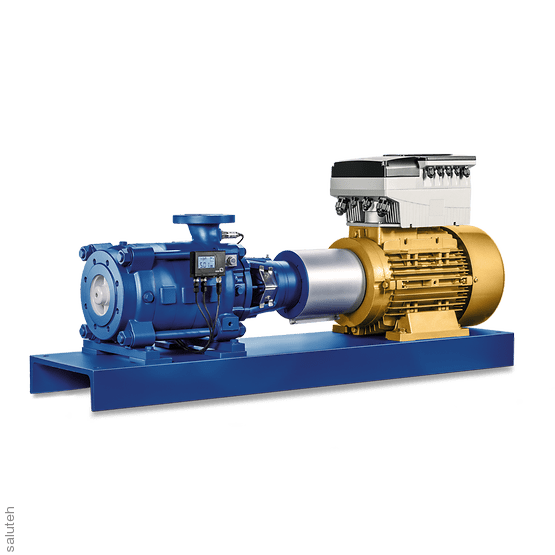 Центробежный многоступенчатый Multitec 200 / 250