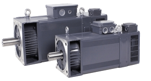 Электродвигатели переменного тока TT Electric AMS (200022649) - купить в Салютех