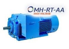 Трехфазные электродвигатели OMEC Motors OMH-RT