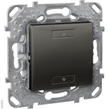 Выключатель двухкнопочный с индикатором LED графит