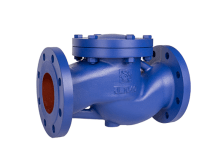 Клапан обратный подъемный РАШВОРК 487-16, PN16, корпус - GJL-250 (GG25), диск - угл. сталь AISI420, седло - угл. сталь AISI420, Ф/Ф