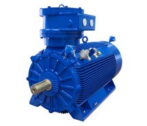 Взрывозащищенные двигатели Marelli Motori Ex d IIC T4 Gb