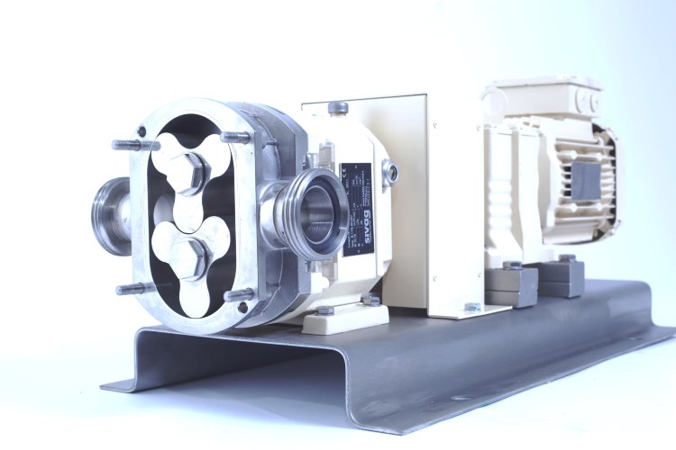 Роторный насос Sivag B100