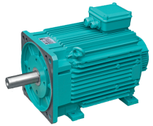 Синхронные серводвигатели Wittur Electric DSH 4