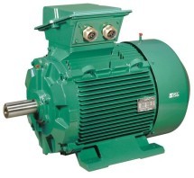 Асинхронные электродвигатели Leroy Somer FLSC