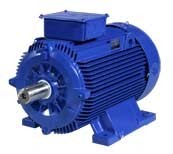 Асинхронные электродвигатели Marelli Motori A5C IE2