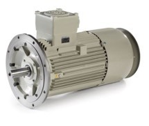 Взрывозащищенные двигатели Electro Adda PE-Ex-de