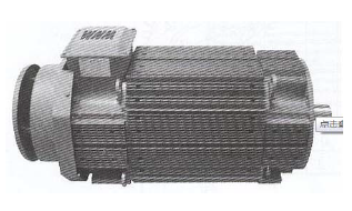 Электродвигатели постоянного тока WNM ZBL4