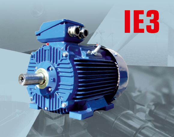 Трехфазные электродвигатели Cantoni Group IE3 Premium Efficiency