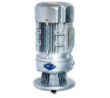 Мотор-редуктор  WBE 11065-LD120-187